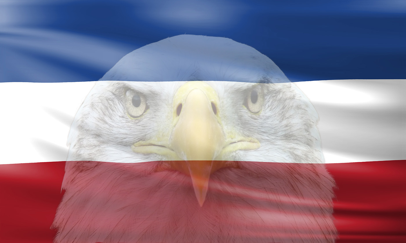 flagge mecklenburg eagle